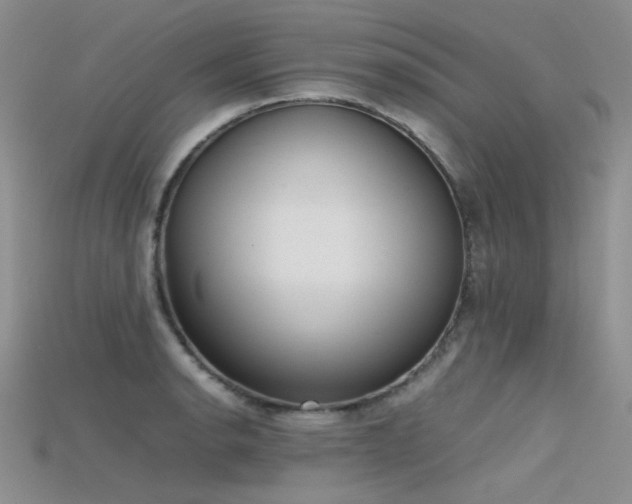 X0000115721134200911121445