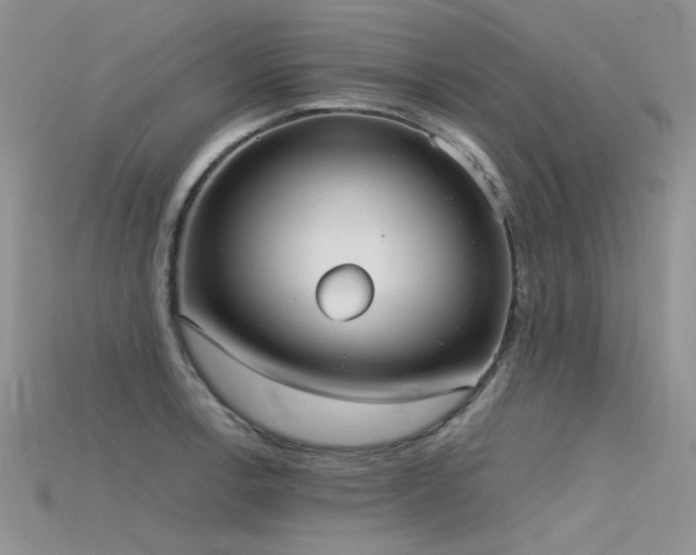 X0000115721138200911121445