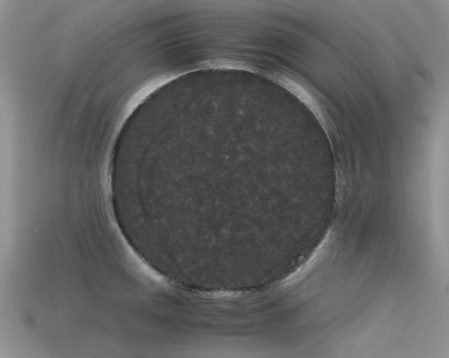 X0000115721141200911121445