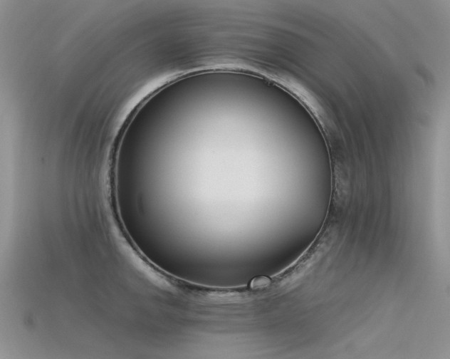 X0000115721142200911121445