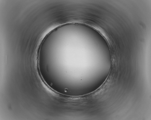 X0000115721143200911121445