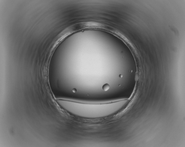 X0000115721145200911121445