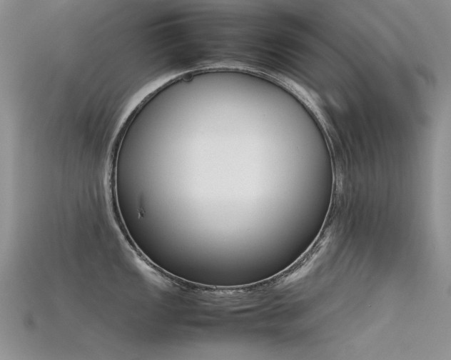 X0000115721149200911121445