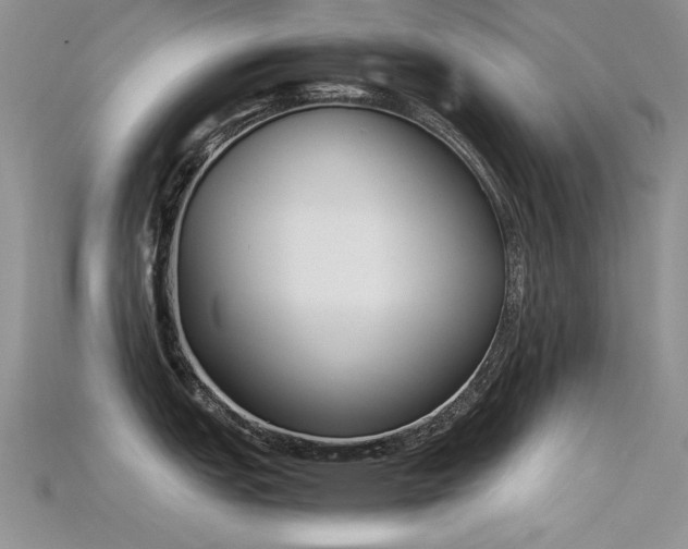 X0000115721151200911121445