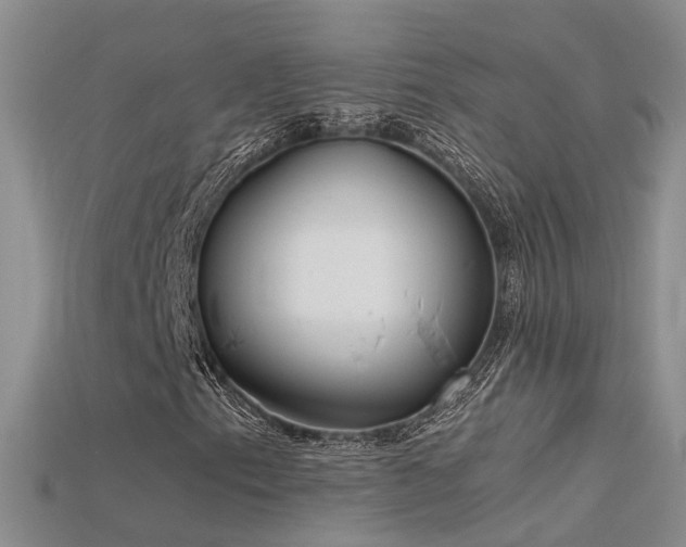 X0000115721153200911121445