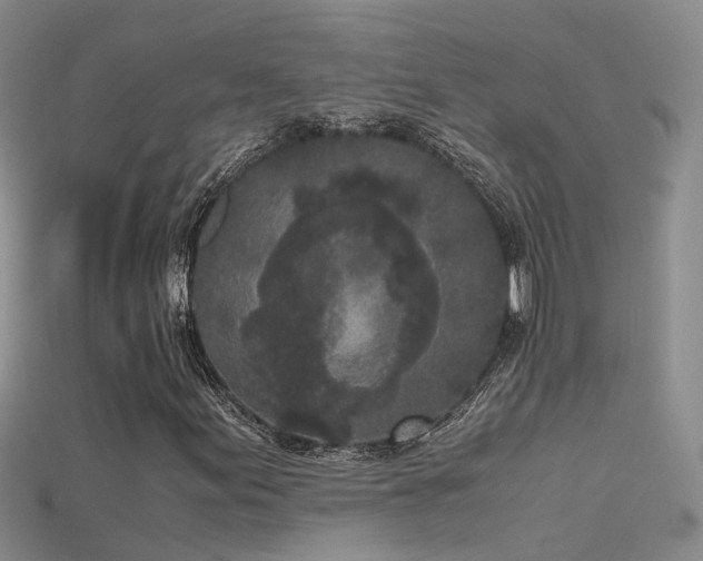 X0000115721155200911121445