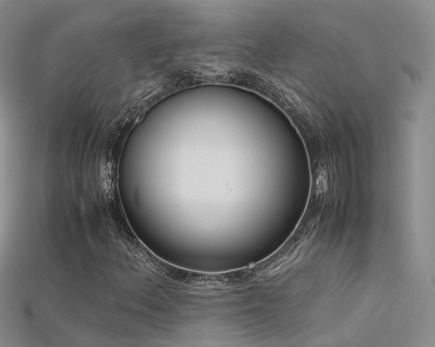 X0000115721156200911121445