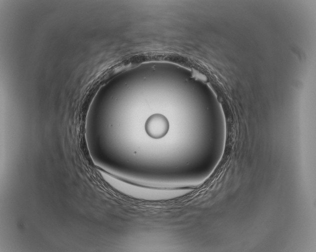 X0000115721157200911121444