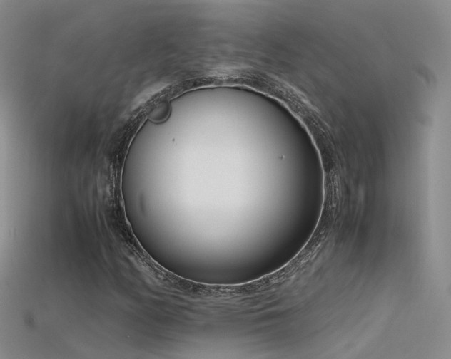 X0000115721158200911121444