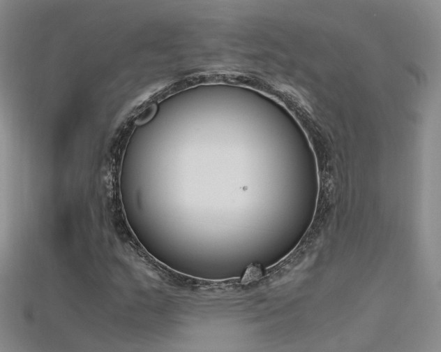 X0000115721159200911121444