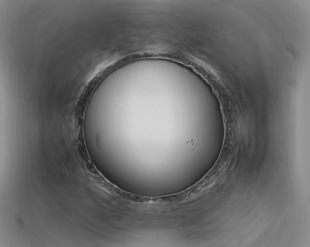 X0000115721160200911121444