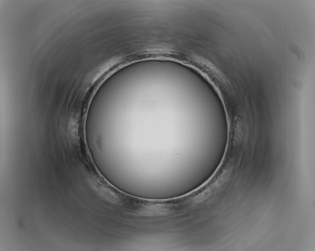 X0000115721162200911121444