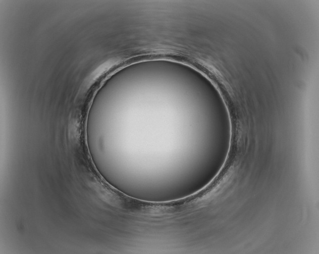 X0000115721163200911121444