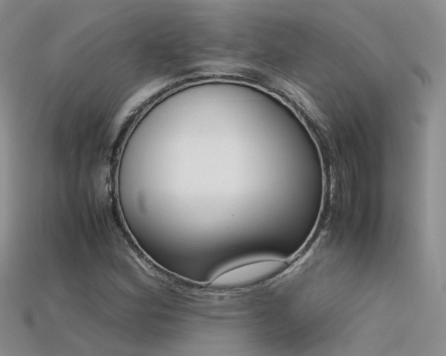 X0000115721164200911121444