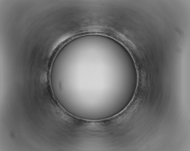 X0000115721166200911121444