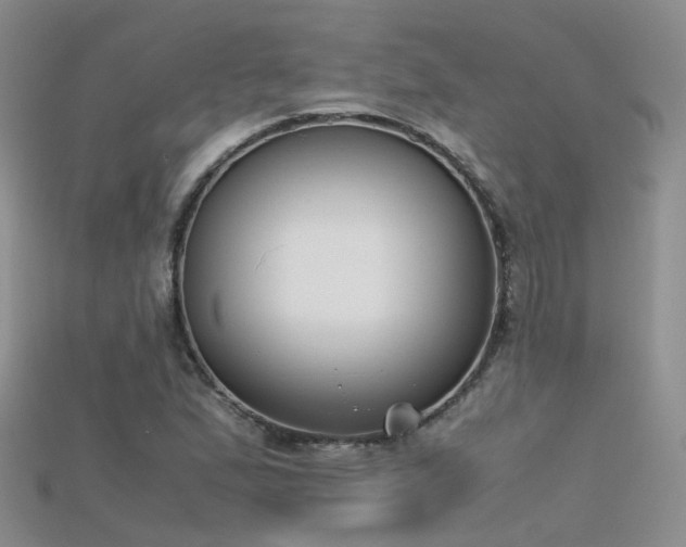 X0000115721167200911121444