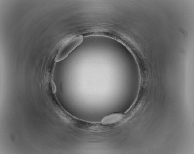 X0000115721169200911121444