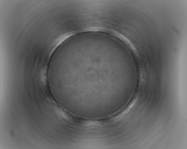 X0000115721170200911121444