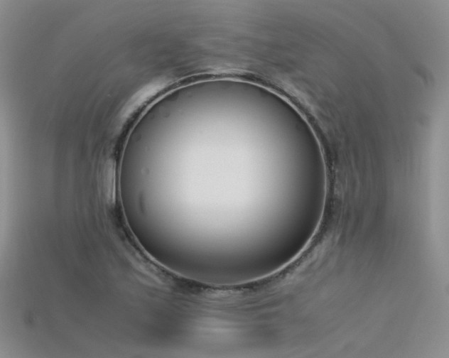 X0000115721171200911121444