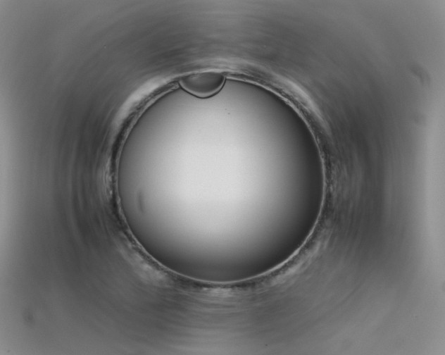 X0000115721172200911121444