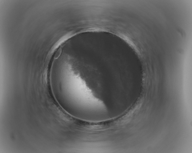 X0000115721173200911121444