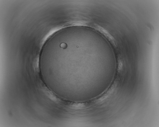 X0000115721174200911121444