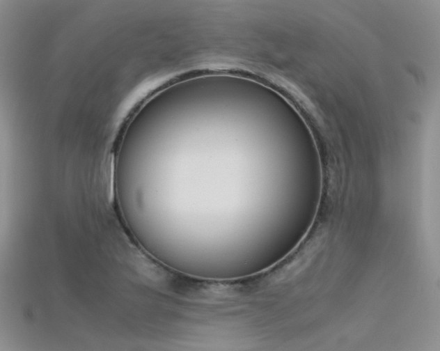X0000115721175200911121444