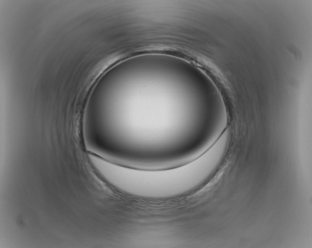 X0000115721177200911121444