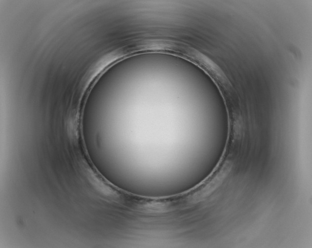 X0000115721178200911121444