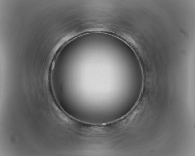 X0000115721181200911121444