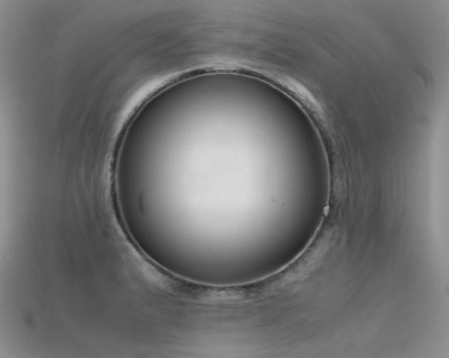 X0000115721183200911121444