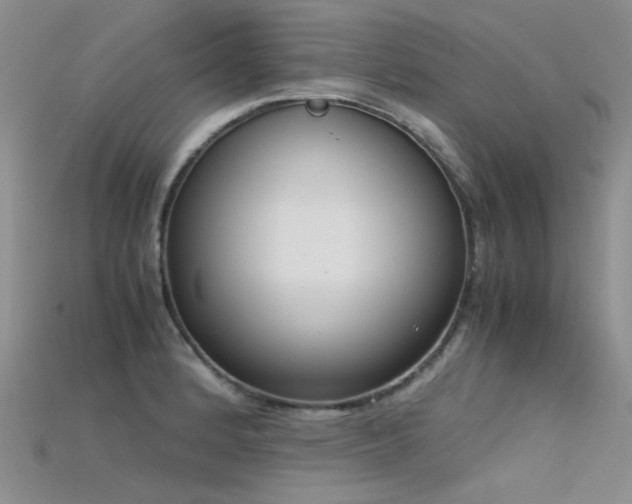 X0000115721184200911121444