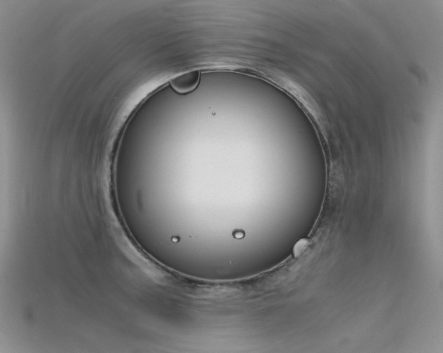 X0000115721187200911121444