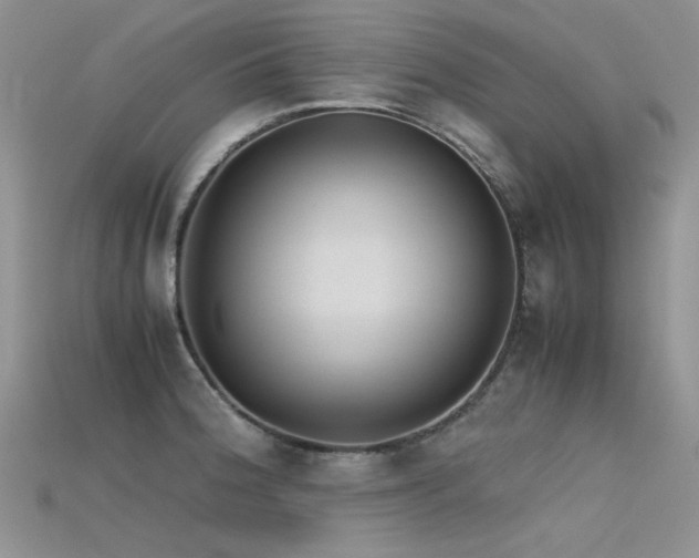 X0000115721188200911121444