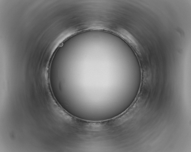X0000115721190200911121444