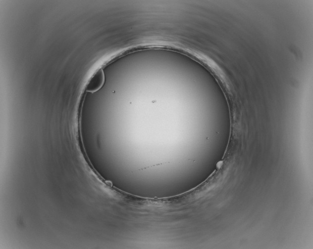 X0000115721191200911121444