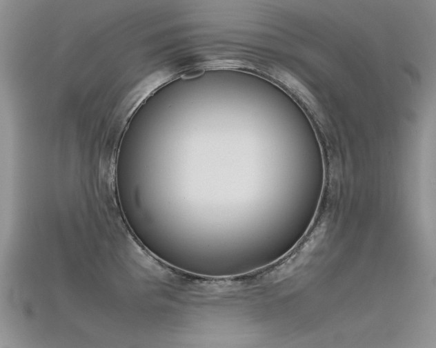 X0000115721193200911121444