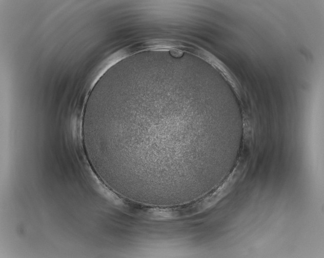 X0000115721194200911121444