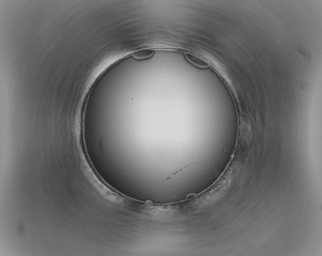 X0000115721195200911121444