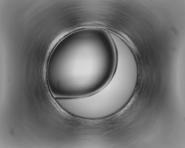 X0000115721196200911121444