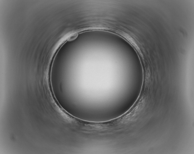 X0000115721197200911121444