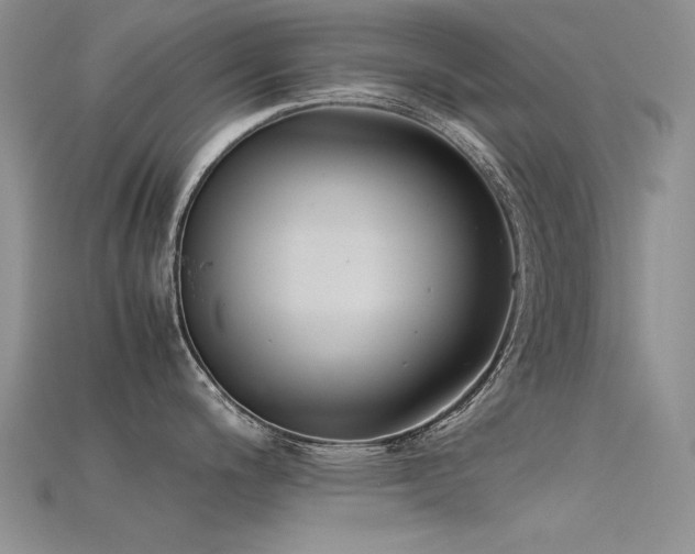 X0000115721200200911121444