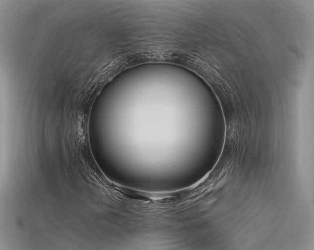 X0000115721202200911121443
