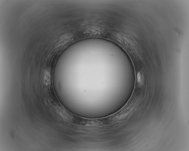X0000115721203200911121443