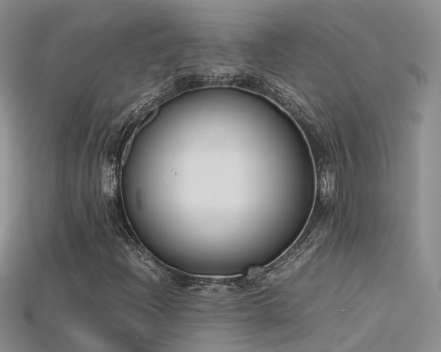 X0000115721204200911121443