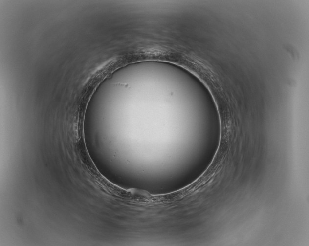 X0000115721205200911121443
