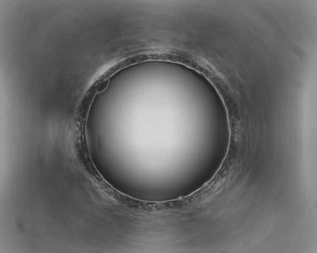 X0000115721208200911121443
