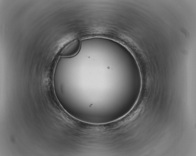 X0000115721210200911121443
