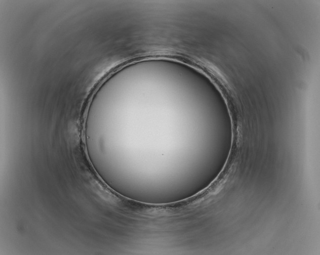 X0000115721212200911121443