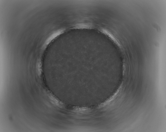 X0000115721213200911121443